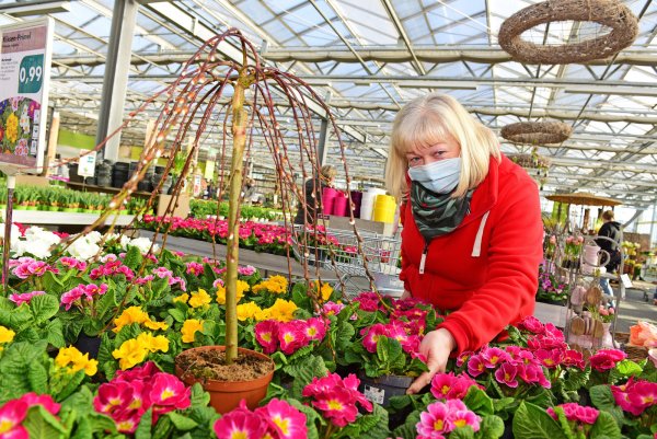 Susannne Merz stellt im Gartencenter Brockmeyer den richtigen Farbtupfer für den Frühling zusammen. - © Nicole Ellerbrake