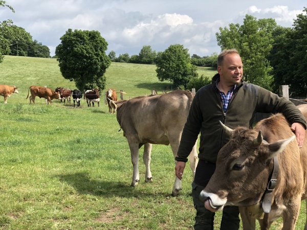 Der Horn-Bad Meinberger Landwirt Martin Schlue hat Original-Allgäuer Braunvieh mit auf seine Berlebecker Weide unterhalb des Rolfschen Hofs gebracht. Drei seiner Pinzgauer weiden momentan in der Nähe von Oberstdorf. - © Till Brand