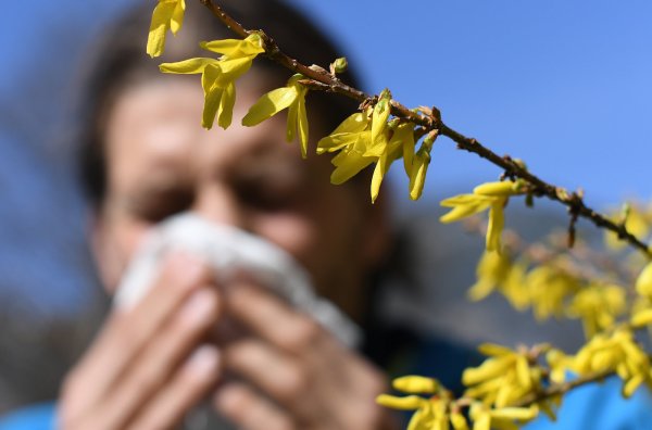 Wer an einer Pollenallergie leidet, der ist derzeit doppelt gebeutelt. Durch das Kontaktverbot bleibt meist nur der Ausflug in die Natur – ein Spaziergang über Felder kann allerdings zur Tortur werden. Zudem kann ein erhöhtes Infektionsrisiko bestehen. - © Angelika Warmuth/dpa