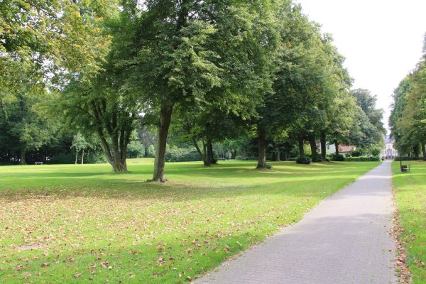 Die Pläne für eine Discgolf-Anlage im Schiederaner Schlosspark stehen noch. Noch ist aber nicht alles in trockenen Tüchern. Auch einen genauen Parcours gibt es noch nicht. - © Freya Köhring