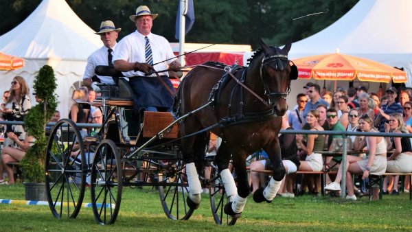 Rainer Rethmeier aus Leopoldshöhe demonstrierte im Sommer in Pottenhausen mit seinem Wallach Valerio die Kunst des Fahrsports. - © Jörg Hagemann