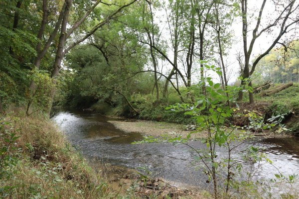 Hier grenzt das Naturschutzgebiet Holzhauser Bruch an. - © Birgit Guhlke