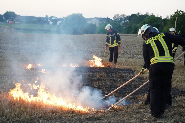 Feuerwehrleute patschen die Flammen aus. Im Hintergrund entfacht Harald Weber neue Braende. - © Freitag TV