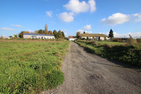 Hier entsteht das Silixer Gewerbegebiet. Ein Gartenbauunternehmen hat sich schon angesiedelt. In Kürze soll der Bau einer Straße beginnen, die das Areal südlich von Friedrich-Winter- und Heinrich-Drake-Straße zwischen Tennishalle und Industriestraße erschließt. - © Jens Rademacher