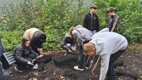 Die Schüler der Karla-Raveh-Gesamtschule befüllen die Pflanzcontainer mit Erde. - © Nadine Uphoff
