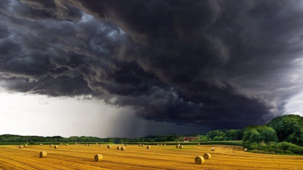 Der Deutsche Wetterdienst warnt vor Starkregen und Sturmböen in Lippe. - © Pixabay
