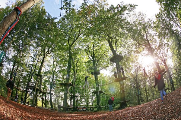 Bis hoch in die Bäume geht es im Kletterpark am Hermannsdenkmal. - © Joerg Manegold