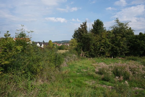 An der Bielefelder Straße ist gegenüber des künftigen Gewerbegebietes am früheren Betonwerk sowie gegenüber der Polizei noch viel Platz. Eine Kita soll entstehen - auch ein Baugebiet ist vorgesehen. Die Anlieger wehren sich aber dagegen. - © Sven Koch