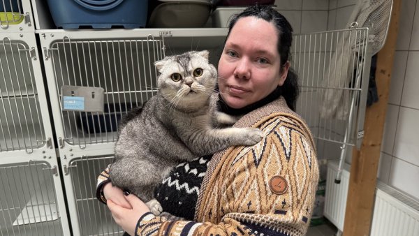Sabrina Fiebig mit der Katze der Rasse "Scottish Fold". - © Sven Kienscherf