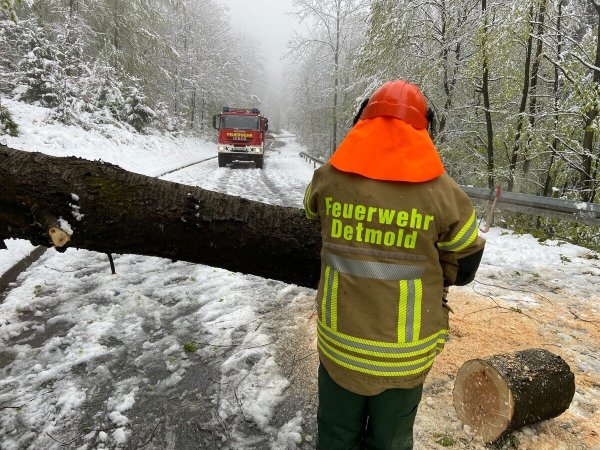 Die Feuerwehr Detmold war stundenlang damit beschäftigt, die Straßen von umgestürzten Bäumen zu befreien. - © Feuerwehr Detmold/Christopher Rieks