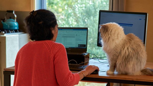 Schöner arbeiten im Homeoffice: Der Trend geht aktuell wieder zurück ins Büro. - © picture alliance / Hans Lucas