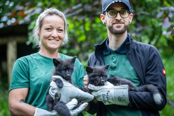 Tierpflegerin Jana Derbogen hält das Mädel im Arm, Tobias Diekmann präsentiert den jungen Rüden. - © Sarah Jonek Fotografie