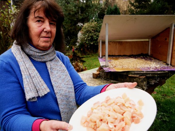Jeden Vormittag hat Ursula Flake den beiden Raben Hühnerfleisch rausgestellt. Allerdings waren die Portionen feiner geschnitten, als hier zu sehen, betont sie. - © Till Sadlowski