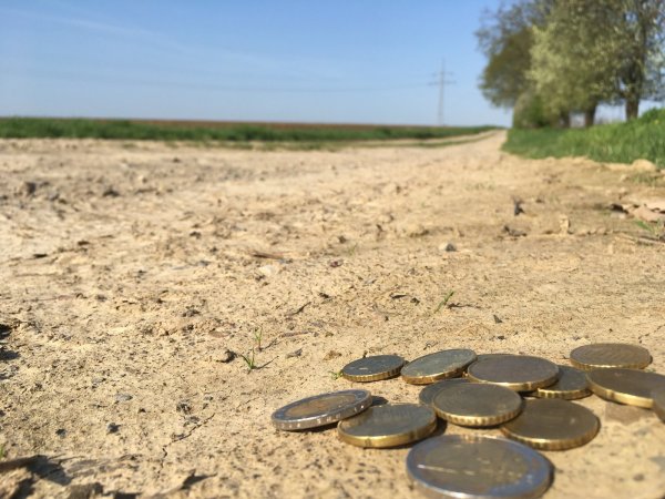 Das Geld liegt auf der Straße: Ziel der Stadt ist es, bei den Wirtschafts- und Feldwegen in Zukunft Geld zu sparen. - © Till Brand