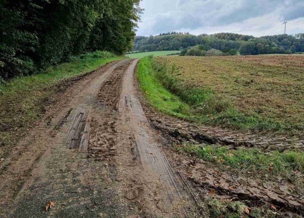 Der Kreuzbuschweg ist so stark verdreckt mit dem Fahrrad nur noch sehr schlecht befahrbar. Dabei ist er eine ausgeschilderte Route des Radnetzes NRW. - © Fotorechte: LZ