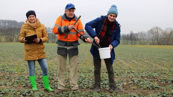 Erhofft sich von dem Projekt neuen Input: Bio-Landwirt Arnd Busse (Mitte) mit Dorothea Streich (links) vom Kreis Lippe und Marcus Collier-Wright (Projektleiter ZENIT) bei der Bodenprobe auf dem Rapsfeld. - © Annika Langhagel