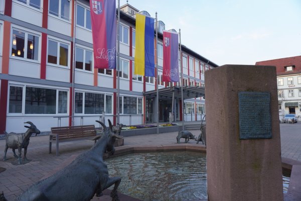 Freude im Lügder Rathaus: Das Defizit im Haushalt ist weitaus kleiner als erwartet. Jedoch wird das kommende Jahr alles andere als rosig aussehen. Das machte Kämmerer Hans-Jürgen Wigge im Haupt- und Finanzausschuss deutlich. - © Michaela Weiße