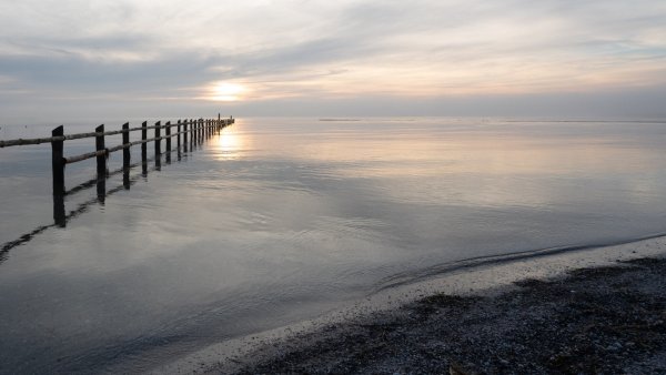 Eine Aufnahme Blankes auf dem Dars an der Ostsee. - © ANDREAS BLANKE