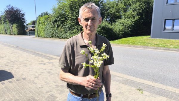 Reinhold Kruse hält einen Strauß des Einjährigen Berufkrauts in der Hand. - © Ewald Thies/NABU