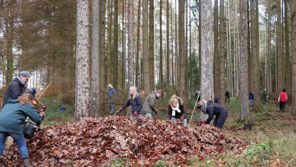 Auch beim Umwelttag brachten sich viele Freiwillige für den Lemgoer Stadtwald ein. - © Stadt Lemgo