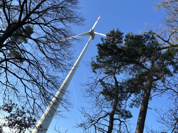 Auf einmal doch genehmigt: Der Bau von Windkraftanlagen im Wald auf der Gauseköte. - © Symbolfoto: Jens Reddeker