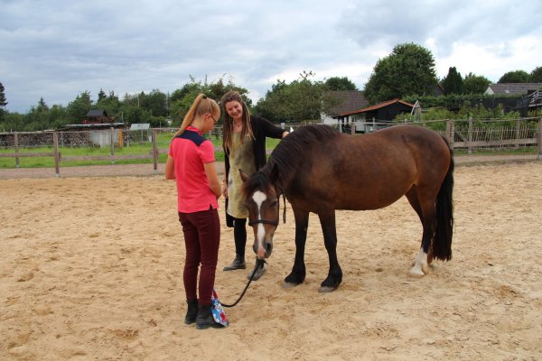 Lea übt mit Pferd "Madona" zum Thema Nähe und Distanz. Es geht darum, eine Bindung aufzubauen und das Tier ohne an den Zügeln zu ziehen zu bewegen. Leiterin Virginia Hein schautz zu und gibt Tipps. - © Nadine Uphoff