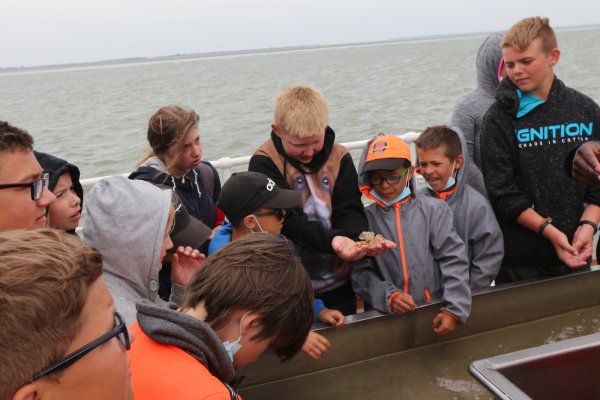 Die Kutterfahrt hat die Kinder besonders beeindruckt. Tobias Fehring nimmt eine Krabbe auf die Hand, auch Jannis Brand (rechts) hat es versucht. - © Marianne Schwarzer(LZ)