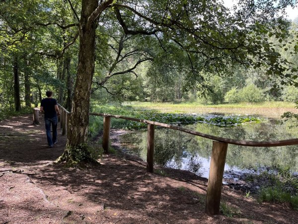 Der Bentteich ist ein idyllisches Fleckchen. Er entstand, weil Ton abgebaut wurde und eine Mulde zurückblieb. - © Jana Beckmann