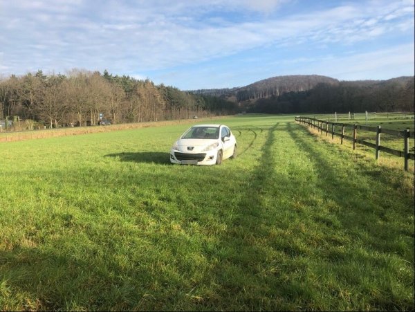 Ende einer Irrfahrt: Diesen Peugeot 207 ließ der Fahrer auf der Weide. Er hatte die Ausfahrt nicht mehr gefunden. - © Polizei