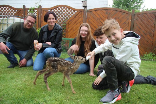 Das Rehkitz Sissi ist etwa zwei Wochen alt, seine Mama hat es verloren, doch es hat guten Ersatz gefunden. Von Ingo Rhiemeier (von links) sowie Nicole, Emma Jo, Marlon und Sam Stock, einer befreundeten Familie, wird es liebevoll aufgepäppelt -mit Lammmilch aus dem Fläschchen. - © Katrin Kantelberg