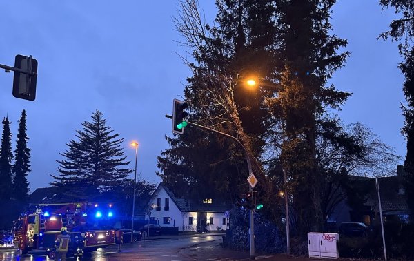 Die Feuerwehr musste den Ampelmast vom Baum befreien. - © C.Rieks
