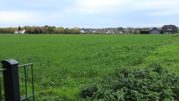 Zwischen Felix-Fechenbach- und Herforder Straße soll das Quartier „Lebendiges Brunsheide“ entstehen. Foto: B. Guhlke - © Birgit Guhlke