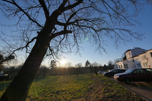 Direkt unterhalb des Meditationszentrums Auraoum (rechts im Bild) am Bad Meinberger Johanna-Fuchs-Weg ist noch Platz für 15 Reihenhäuser. - © Jost Wolf