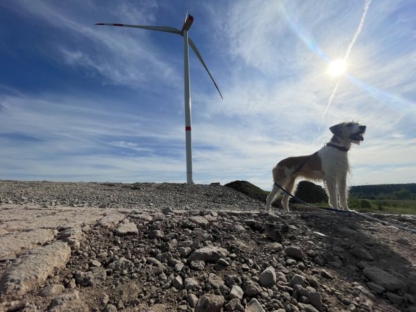 Die Windräder sind fertig, die Arbeiter weg. Was bleibt, sind immense Schäden an den Wirtschaftswegen, beliebte Wege für die Gassirunde. - © Silke Buhrmester
