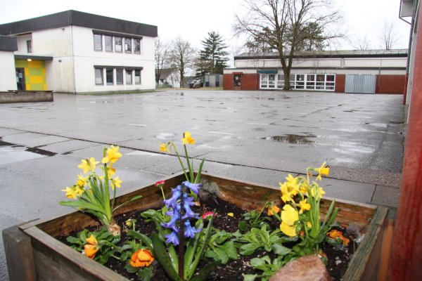 Die Grundschule In der Senne bekommt eine weitere halbe OGS-Gruppe zum kommenden Schuljahr. - © Archivfoto: Cordula Gröne