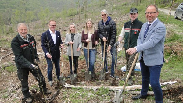 Bringen eigenhändig Setzlinge in den Boden (von links): Hans-Ulrich Braun (Leiter Forstabteilung), Jens Beining (CEO Wortmann), Olga Wedel, Sarah Schröder, Andreas Burmeister (Projektteam Wortmann), Stefan Schreiber (Revierförster Hiddesen), Jörg Dünning-Gast (Verbandsvorsteher Landesverband Lippe). - © Hajo Gärtner