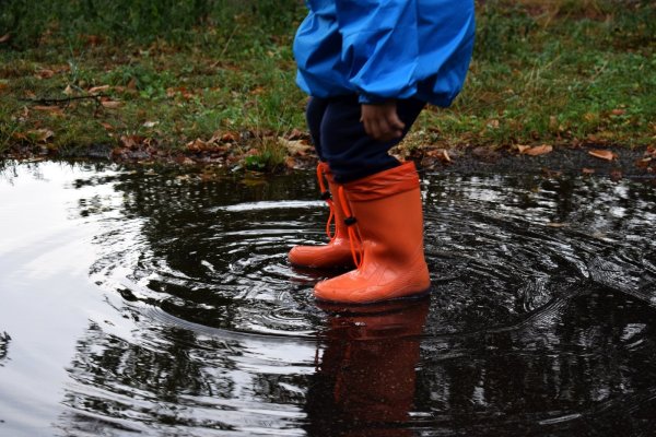 Die Regenfälle in den vergangenen drei Monaten haben dazu geführt, dass sich die Grundwasserstände in Detmold wieder erholt haben. - © Pixabay