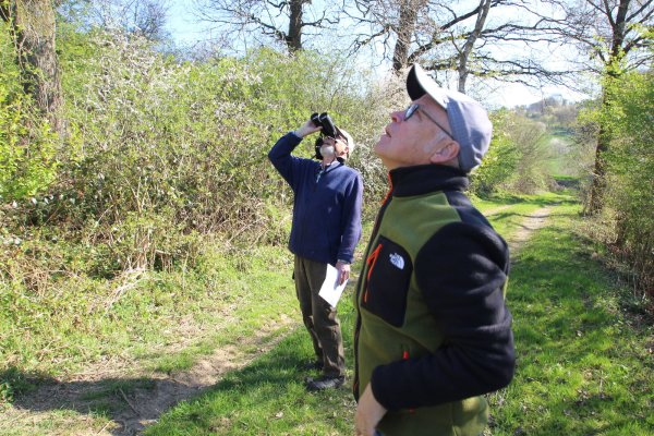 Bussard in Sicht: Der Lemgoer BUND-Vorsitzende Eckhard Buschmeier (links) und Wolfgang Caspersmeier identifizieren die Raubvögel schnell. - © Jens Rademacher