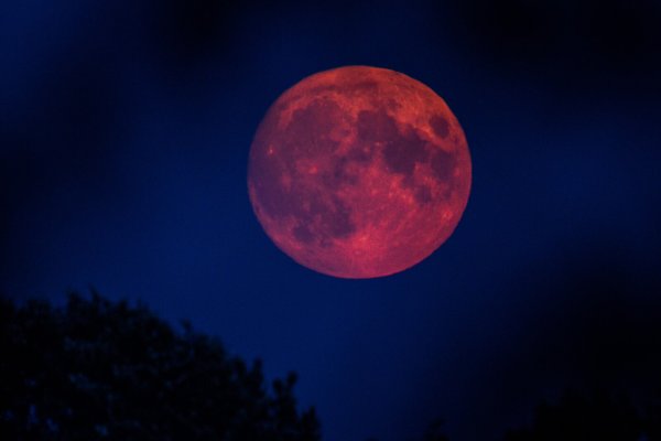 Der Mond strahlt während der totalen Mondfinsternis über OWL in leuchtendem Rot am Nachthimmel. - © picture alliance/dpa