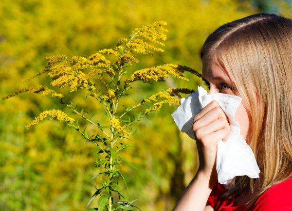 Jetzt beginnt wieder die Leidenszeit für Allergiker im Kreis Gütersloh. Der Klimawandel sorgt dafür, dass die Pollensaison jedes Jahr früher beginnt. - © AOK/Colourbox/hfr