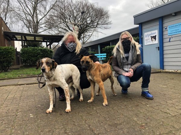 Die Tierpflegerinnen Melanie Vogt (links) und Freddy van der Hoeven mit den Hunden „Shaun“ (links) und „Jumper“ auf dem Hof des Tierheims an der Ziegelstraße. Die Anschaffung eines Tieres sollte nicht übers Knie gebrochen werden, raten sie. - © Sven Kienscherf