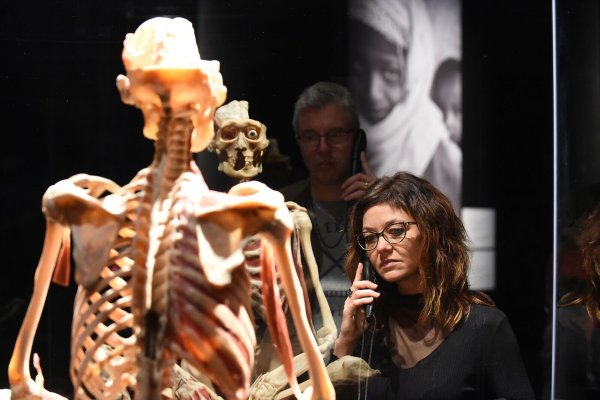 Wie ein Knochengerüst aussieht, ist hier zu sehen. - © Joseph Carlucci