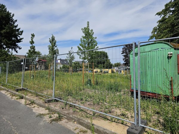 Die neuen Bäume im Außengelände der Kita in Ehrentrup sind gepflanzt. Dass die alten Bäume gefällt werden mussten, hatte einige Kritik nach sich gezogen. - © Astrid Sewing