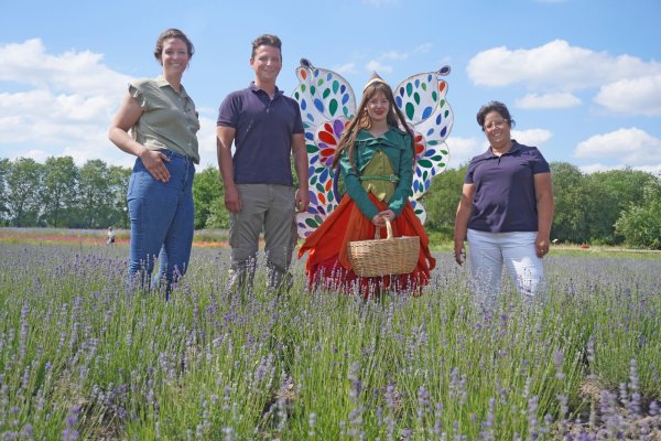 Henrike Pivit (Taoasis, von links), Lavendel-Bauer Luis Rehermann, Gartenschau-Botschafterin "Holli" und LGS-Chefin Claudia Koch im lilafarbenen Meer am Weserstrand. Aktuell stehen die 58.000 Lavendel-Pflanzen in voller Blüte. - © Michaela Weiße