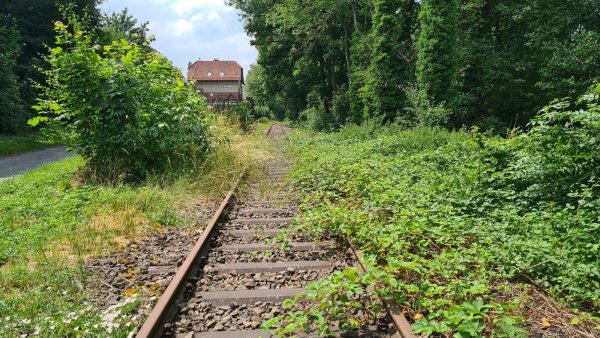 Die Schienen der alten Begatalbahn in Lemgo-Brake: Der alte Bahnhof ist im Hintergrund zu sehen. - © Nadine Uphoff/Archivfoto