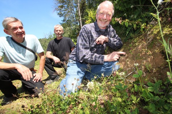 Hans Dudler (Insektenexperte vom Nabu Lippe, von links), Dr. Rudolf Diekmeier (Vorsitzender Verein "Tiere im Dorf") und Bernd Mühlenmeier (Artenschutzbeauftragter des Kreises Lippe) begutachten das Wildbienen-Habitat, das unbeabsichtigt am Schwelentruper Dorfteich entstanden ist. - © Jens Rademacher