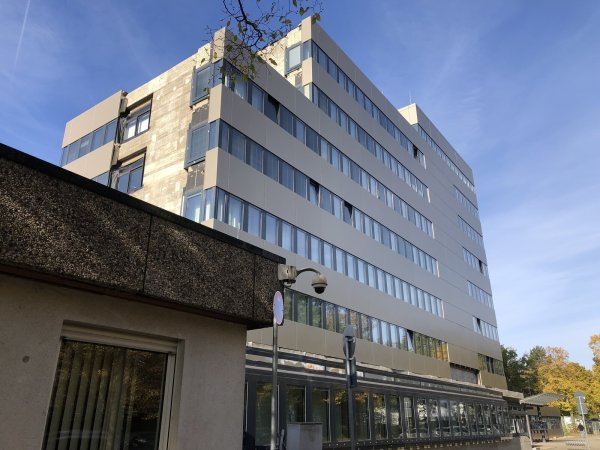 Künftig könnte die Verwaltung im Rathaus ohne Tourismus-Beigeordneten auskommen. - © Sven Kienscherf