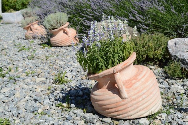 Schotterungen sind zur Gestaltung von Gartenflächen laut Landesbauordnung nicht zugelassen. - © Symbolfoto: Pixabay