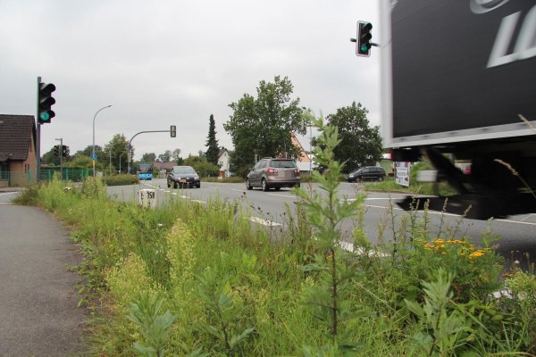 Auf der Waldstraße hat der Verkehr in den vergangenen Jahren zugenommen.Archivfoto - © Nadine Uphoff