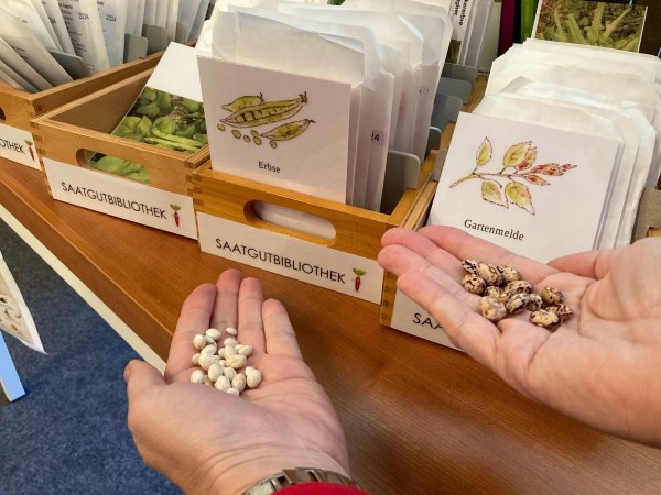 Einen kleinen Teil der Ernte gibt man in Rückgabe-Tütchen wieder in der Bibliothek ab, um für den Ausleih-Kreislauf zu sorgen. Auch das ist Nachhaltigkeit. - © Stadt Detmold